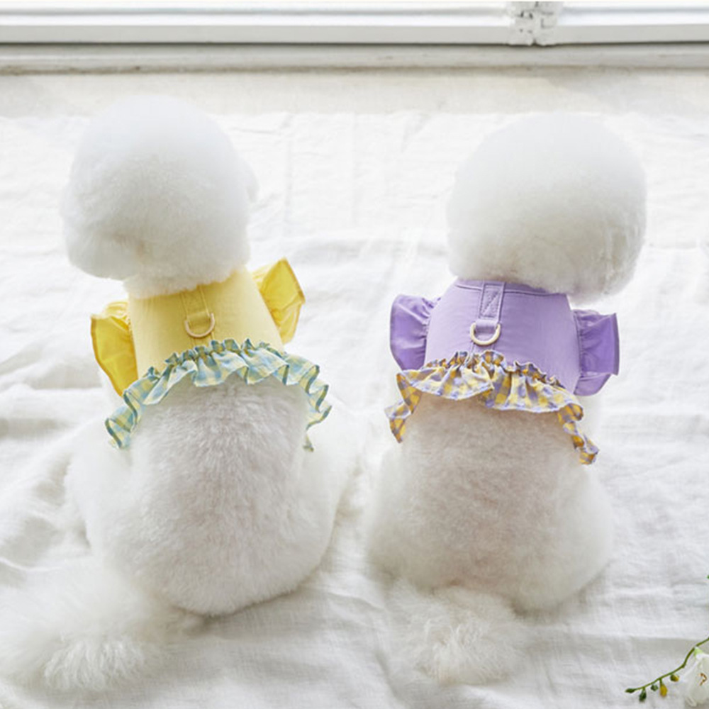 Lace Teddy Lingerie - Köpek Renk Kontrastlı Çekme İpi Evcil