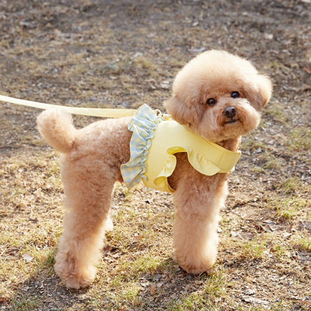 Köpek Renk Kontrastlı Çekme İp - Lace Teddy Lingerie incelemesi ve fiyatı