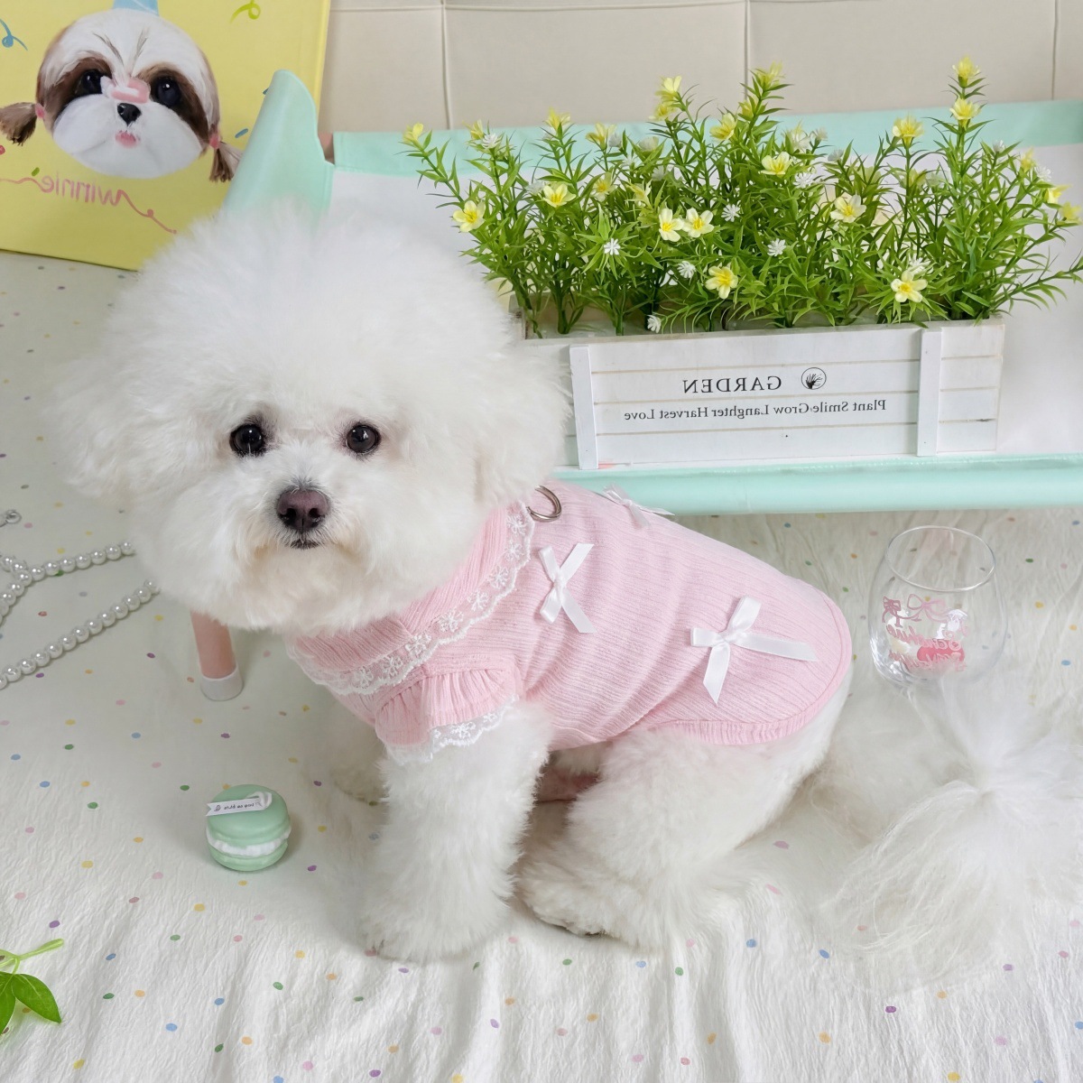 Pet Bahar Dantel Yay Yelek Ted - Lace Teddy Lingerie incelemesi ve fiyatı