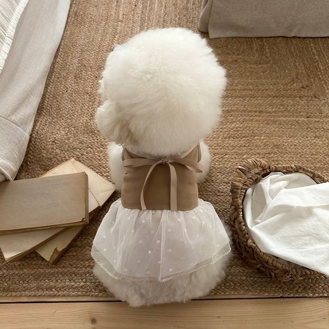 İlkbahar ve Yaz Evcil Hayvan D - Lace Teddy Lingerie incelemesi ve fiyatı