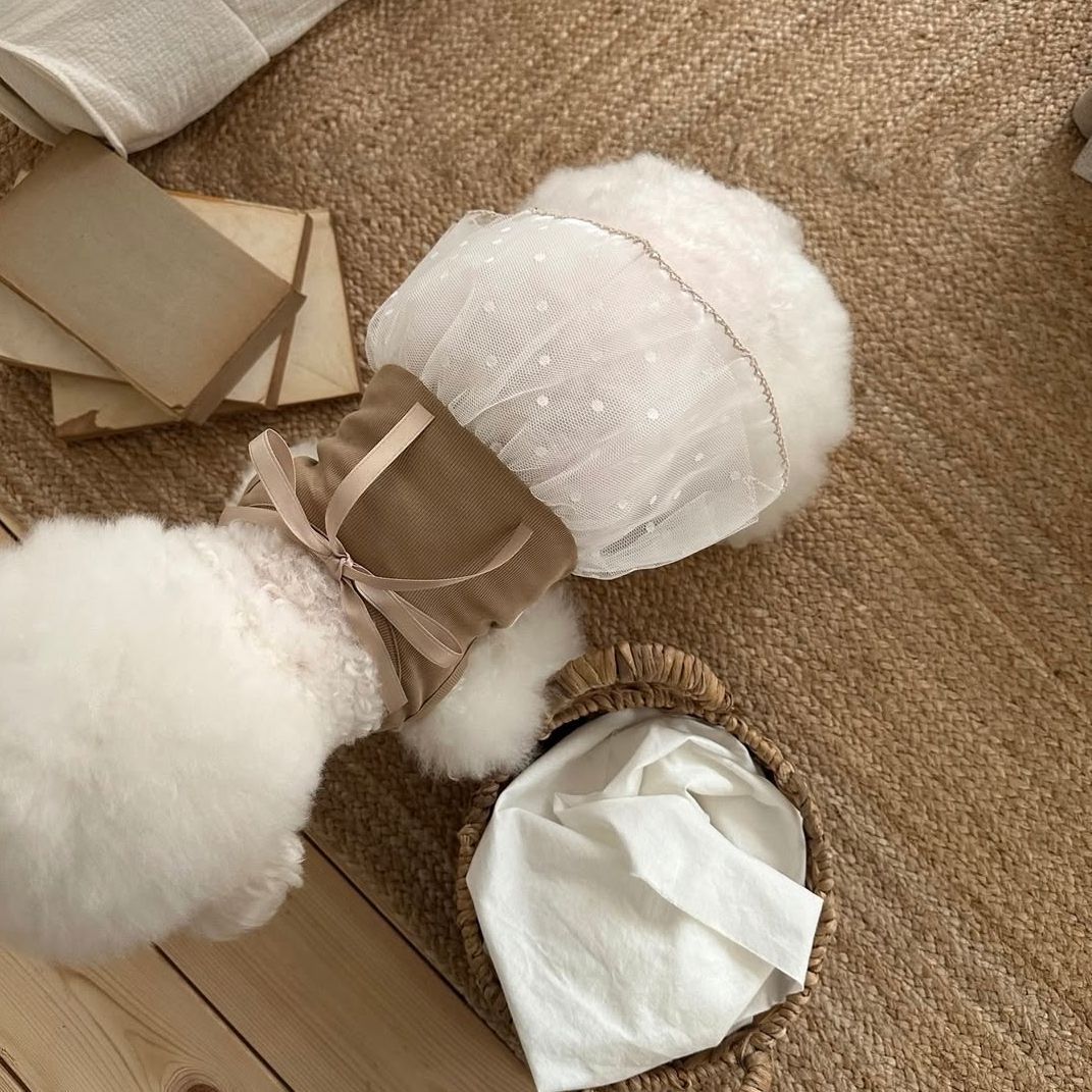 İlkbahar ve Yaz Evcil Hayvan D - Lace Teddy Lingerie incelemesi ve fiyatı