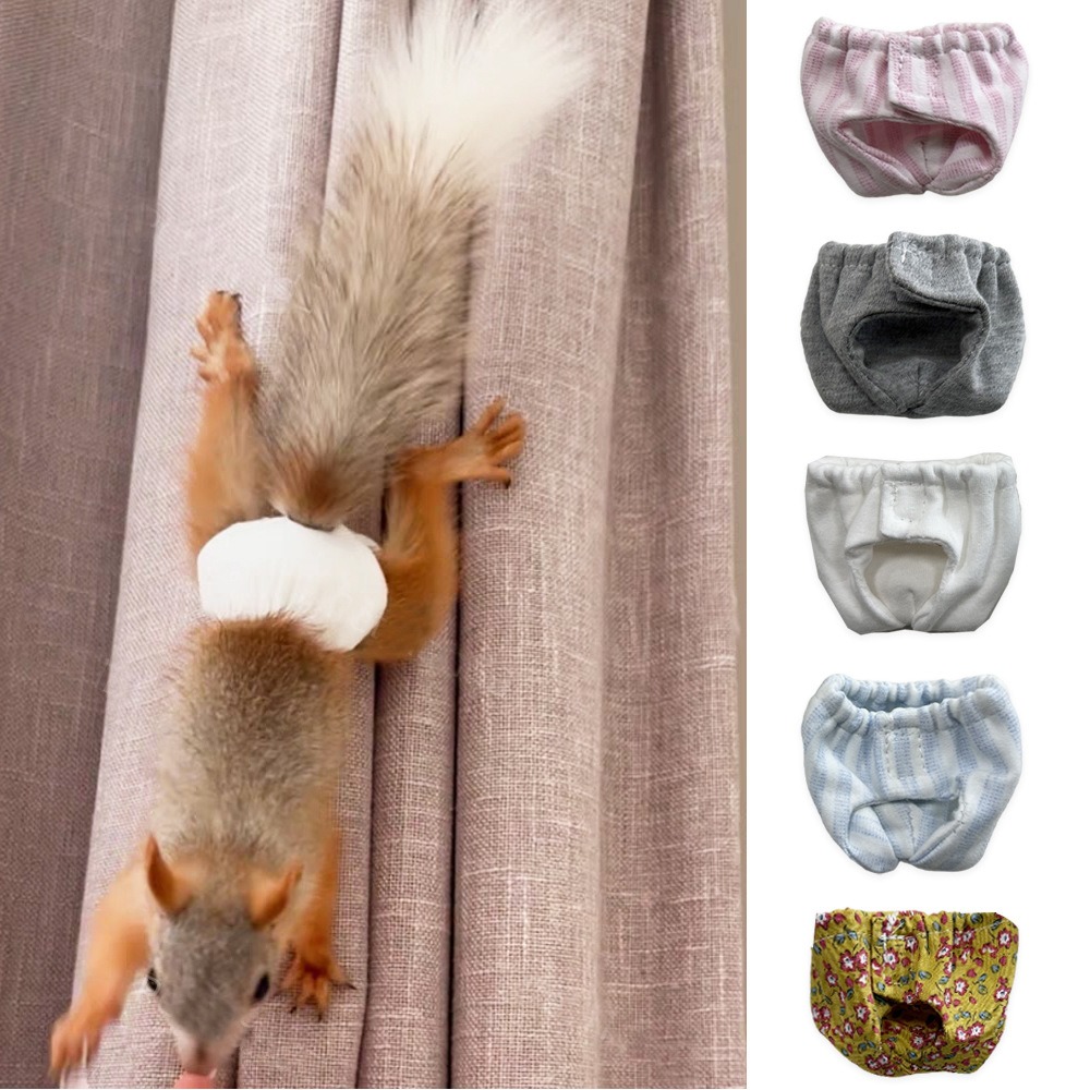 Emici Sincap Bezi Sızdırmaz Ne - Period Panty Absorbent incelemesi ve fiyatı
